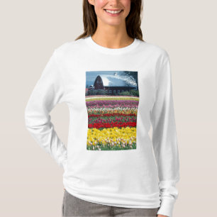 Camiseta jardín de Tulip, condado de Skagit,