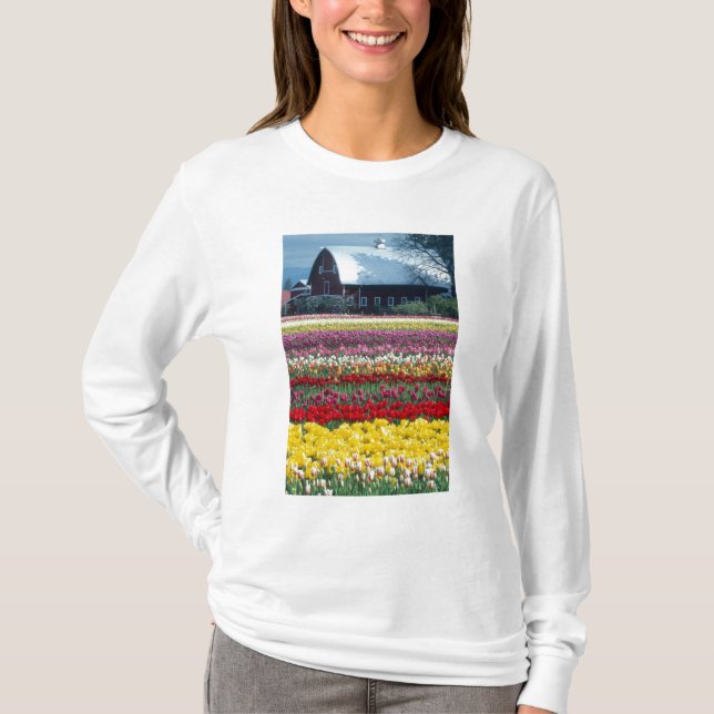 Camiseta jardín de Tulip, condado de Skagit, (Anverso)