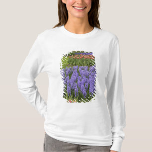Camiseta Jardín de Tulipanes e Hiazintos, Jardines Keukenho