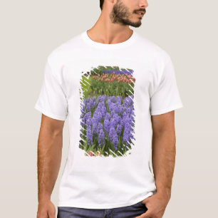 Camiseta Jardín de Tulipanes e Hiazintos, Jardines Keukenho