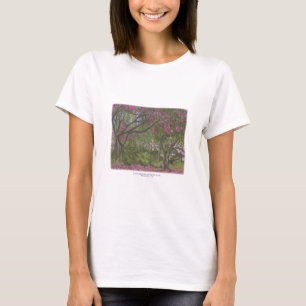 Camiseta Jardín y guardería de Sierra Azul