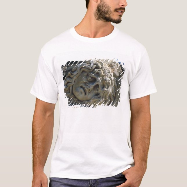 Camiseta Jefe de la medusa (Anverso)