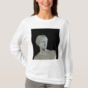 Camiseta Jefe del Venus de Milo, c.100 A.C.