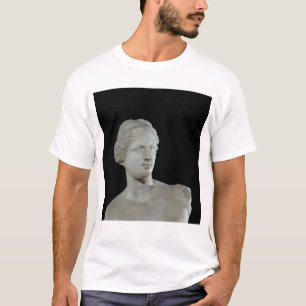 Camiseta Jefe del Venus de Milo, c.100 A.C.