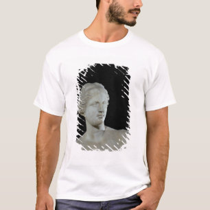 Camiseta Jefe del Venus de Milo, c.100 A.C.