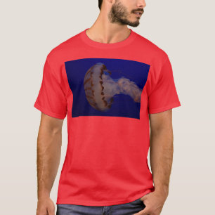 Camiseta Jellyfish en el Acuario de la Bahía de Monterrey 1