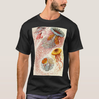 Camiseta Jellyfish Ernst Haeckel