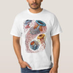 Camiseta Jellyfish vintage por Ernst Haeckel, Discomedusae<br><div class="desc">Diseño de biología de la vida marina de ilustracion vintage de Ernst Haeckel. Una gran variedad de medusas coloridas nadando en las aguas del mar. Los peces gelatina son animales acuáticos de natación gratuitos con un cuerpo en forma de paraguas y largos tentáculos de arrastre. Se pueden encontrar en todos...</div>