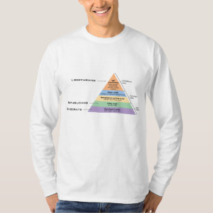 Camiseta Jerarquía de la política