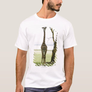 Camiseta Jirafa en Kenia, África