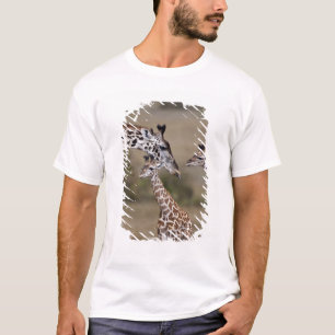 Camiseta Jirafa Masái (Giraffa tippelskirchi)