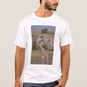Camiseta Jirafa Masái (Giraffa tippelskirchi)