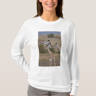 Camiseta Jirafa Masái (Giraffa tippelskirchi)