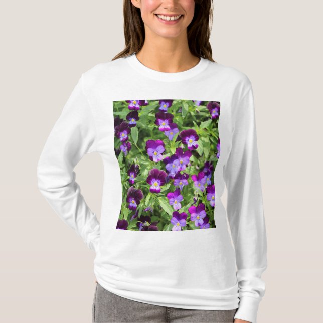 Camiseta Johnny Pop Ups (Anverso)