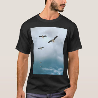 Camiseta Jonathan Livingston