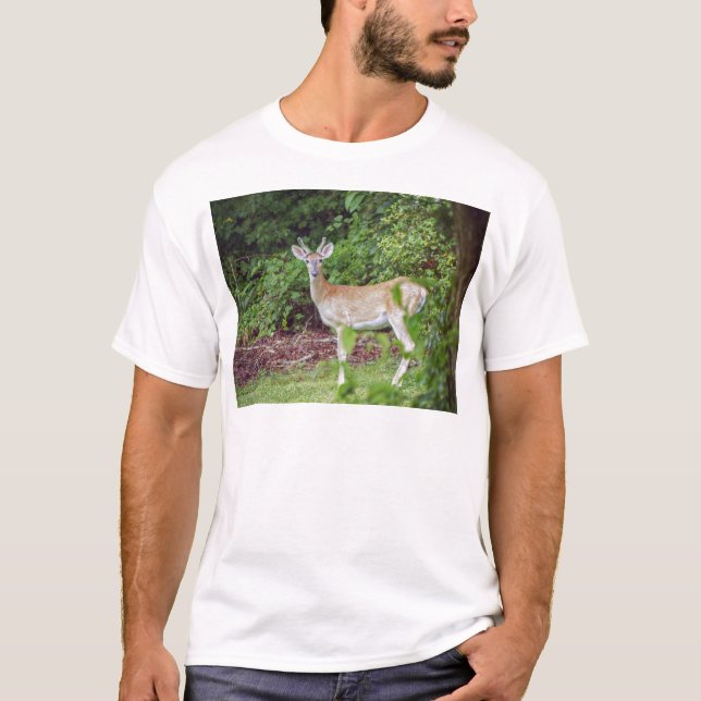 Camiseta Joven buck de terciopelo (Anverso)