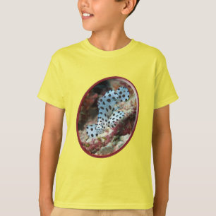 Camiseta Joven mero - diseño fotográfico ovalado de pez