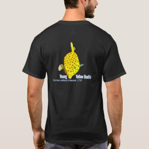 Camiseta Joven Pez Caja Amarillo