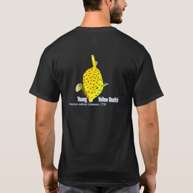 Camiseta Joven Pez Caja Amarillo (Reverso)