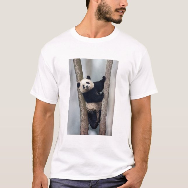 Camiseta Jóvenes pandas trepando un árbol, China (Anverso)