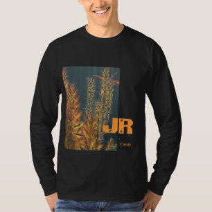 Camiseta JR negro de deslumbramiento del áloe