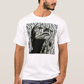 Camiseta Juana de Arco (camisa)