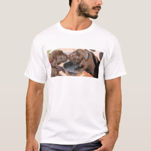 Camiseta Juego de los perritos de Labrador del chocolate