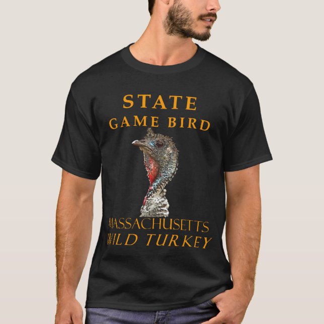Camiseta Juego de territorio de Massachusetts Bird Quirky T (Anverso)