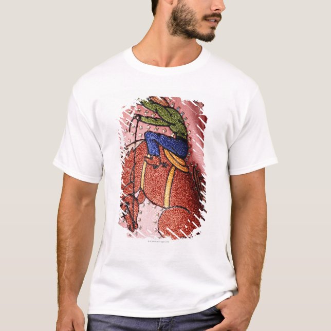 CAMISETA JUEGO DEL NUDIE DE LA NIEVE DE LA MADEJA (Anverso)