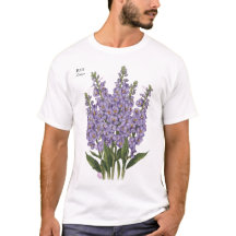 Julio Larkspur Bloom - Regalo de cumpleaños person