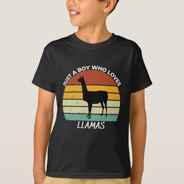 Camiseta Just a boy who loves llamas (Anverso)