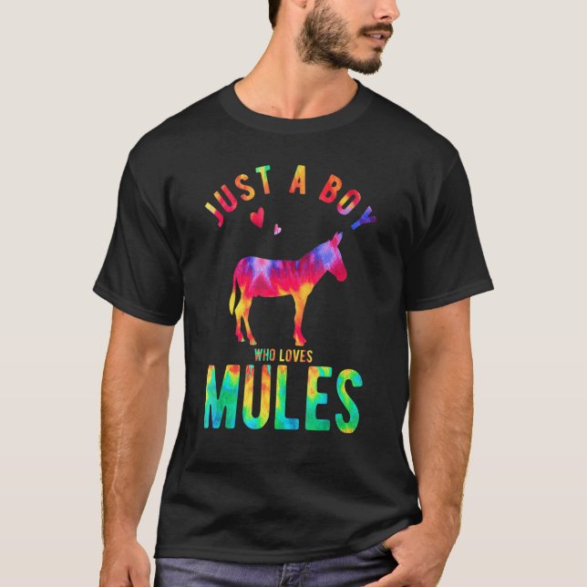 Camiseta Just A Boy Who Loves Mules Mule Lover Funny Mule (Anverso)