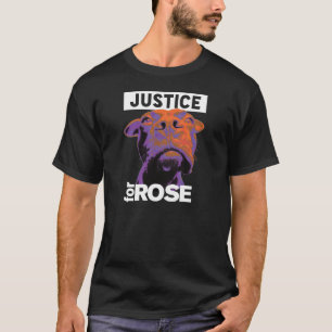 Camiseta Justicia 4 subió