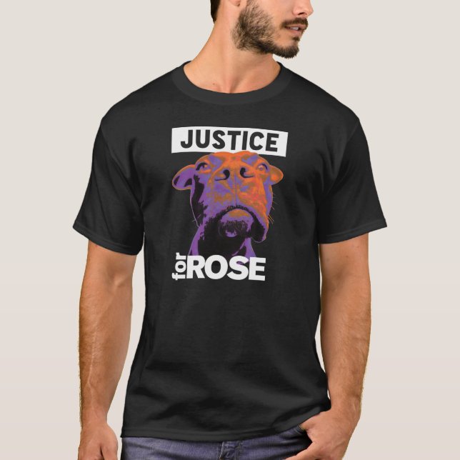 Camiseta Justicia 4 subió (Anverso)