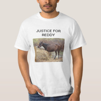 CAMISETA JUSTICIA PARA REDDY