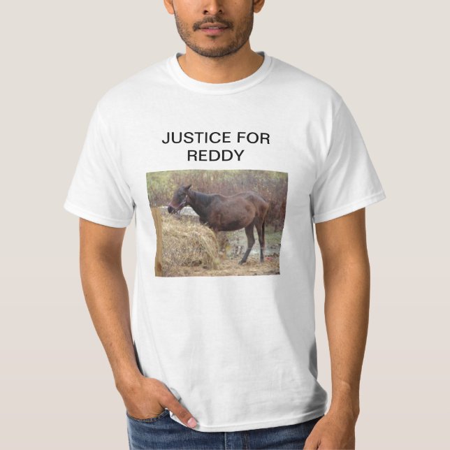 CAMISETA JUSTICIA PARA REDDY (Anverso)