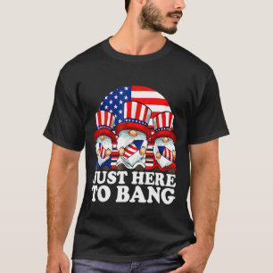 Camiseta Justo Aquí Al Bang 4 De Julio Cute Gnomes Holding