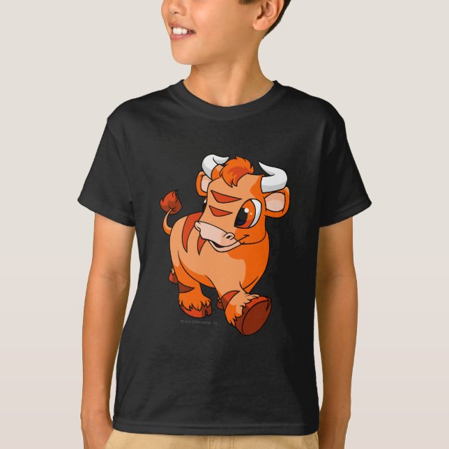 Camiseta Kau anaranjados (Anverso)