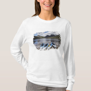 Camiseta Kayaks, Cradle Mountain y Dove Lake, Cradle