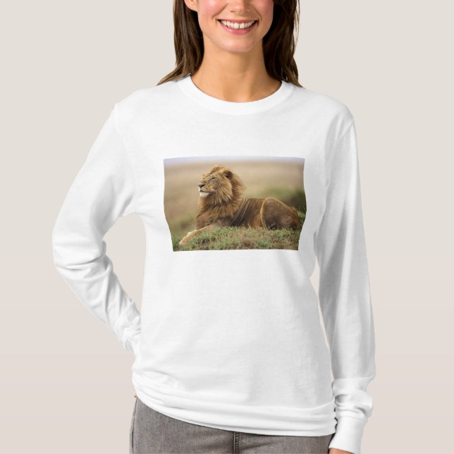Camiseta Kenia, Masai Mara | León Macho (Anverso)