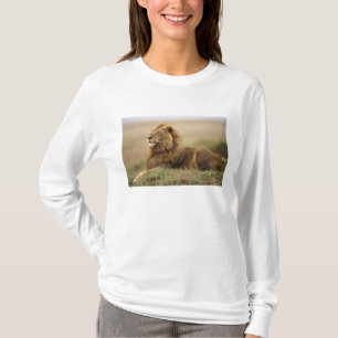 Camiseta Kenia, Masai Mara   León masculino