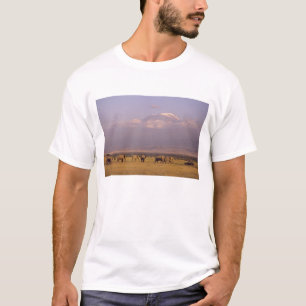 Camiseta Kenia: Parque Nacional Amboseli, Elefantes
