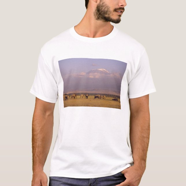 Camiseta Kenia: Parque Nacional Amboseli, Elefantes (Anverso)