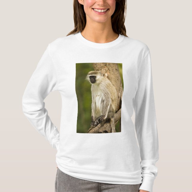 Camiseta Kenia, Parque Nacional Lago Nakuru. Vervet (Anverso)