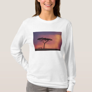 Camiseta Kenia: Parque Nacional Masai Mara, Puesta de sol.