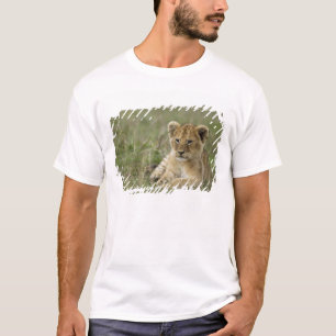 Camiseta Kenia, Reserva de caza Masai Mara. León africano
