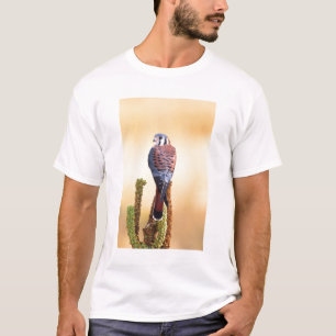 Camiseta Kestrel, Falco sparverius, nativo de Estados Unido