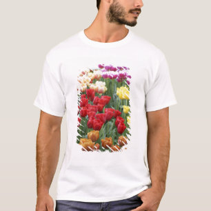 Camiseta Keukenhof Gardens, Holanda, se especializa en 2
