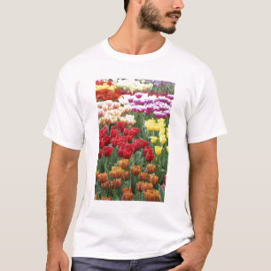 Camiseta Keukenhof Gardens, Holanda, se especializa en 2