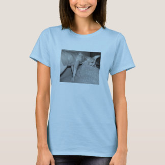 Camiseta kijiji 004